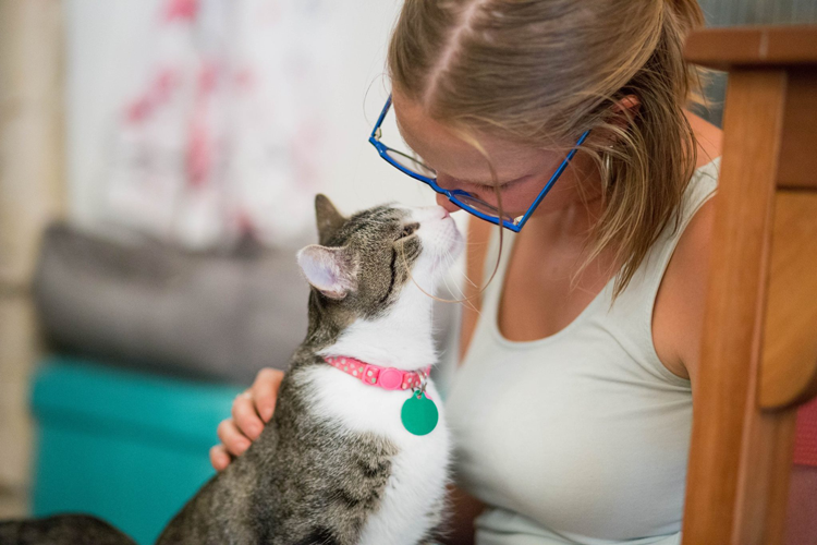 Eat, Purr, Love Cat Cafe Columbus