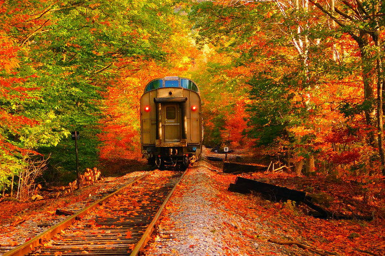 Train Rides - Explore Ohio - Cutler Real Estate